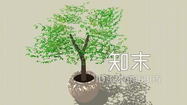 盆栽SU模型下载【ID:620956905】