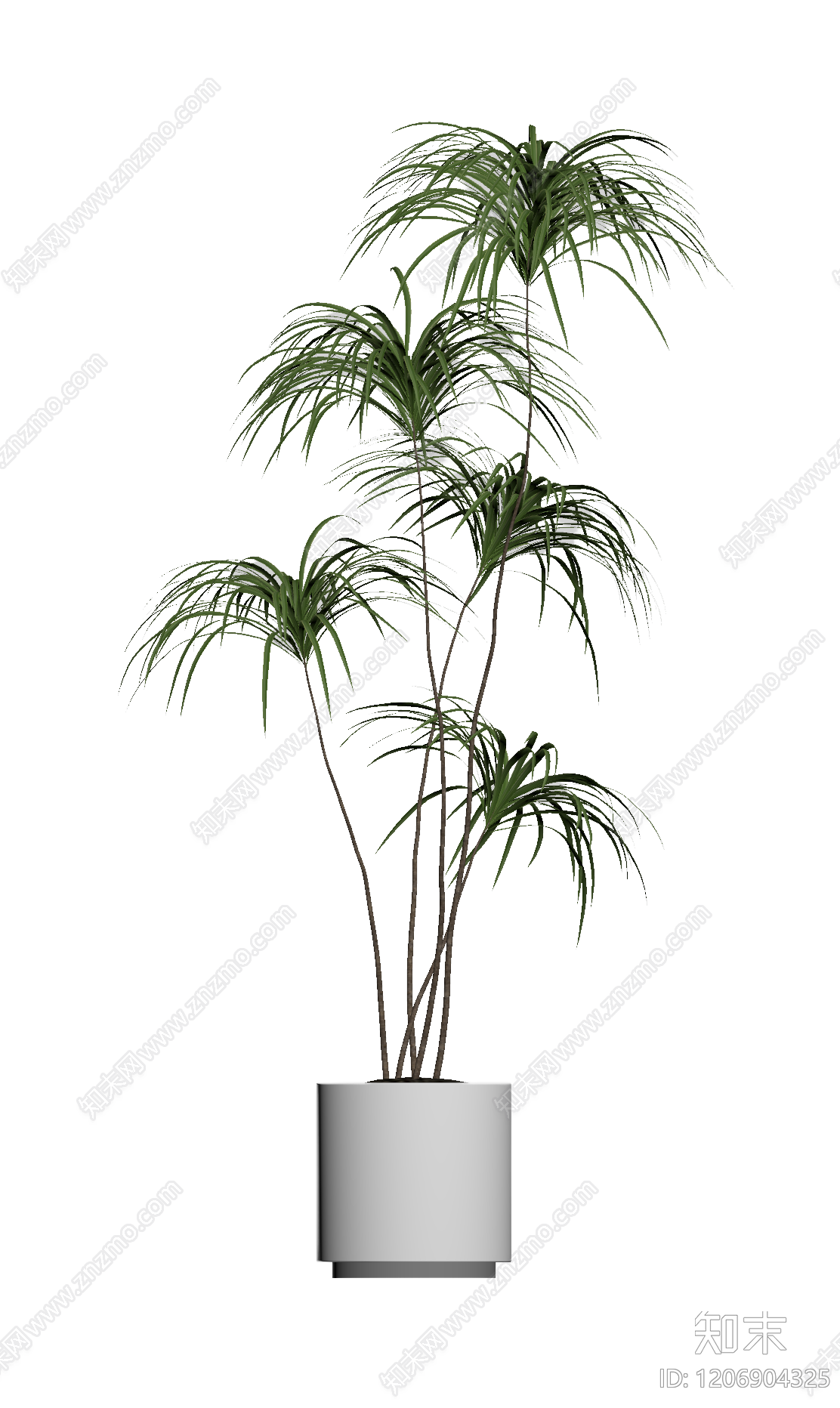 盆栽植物组合3D模型下载【ID:1206904325】