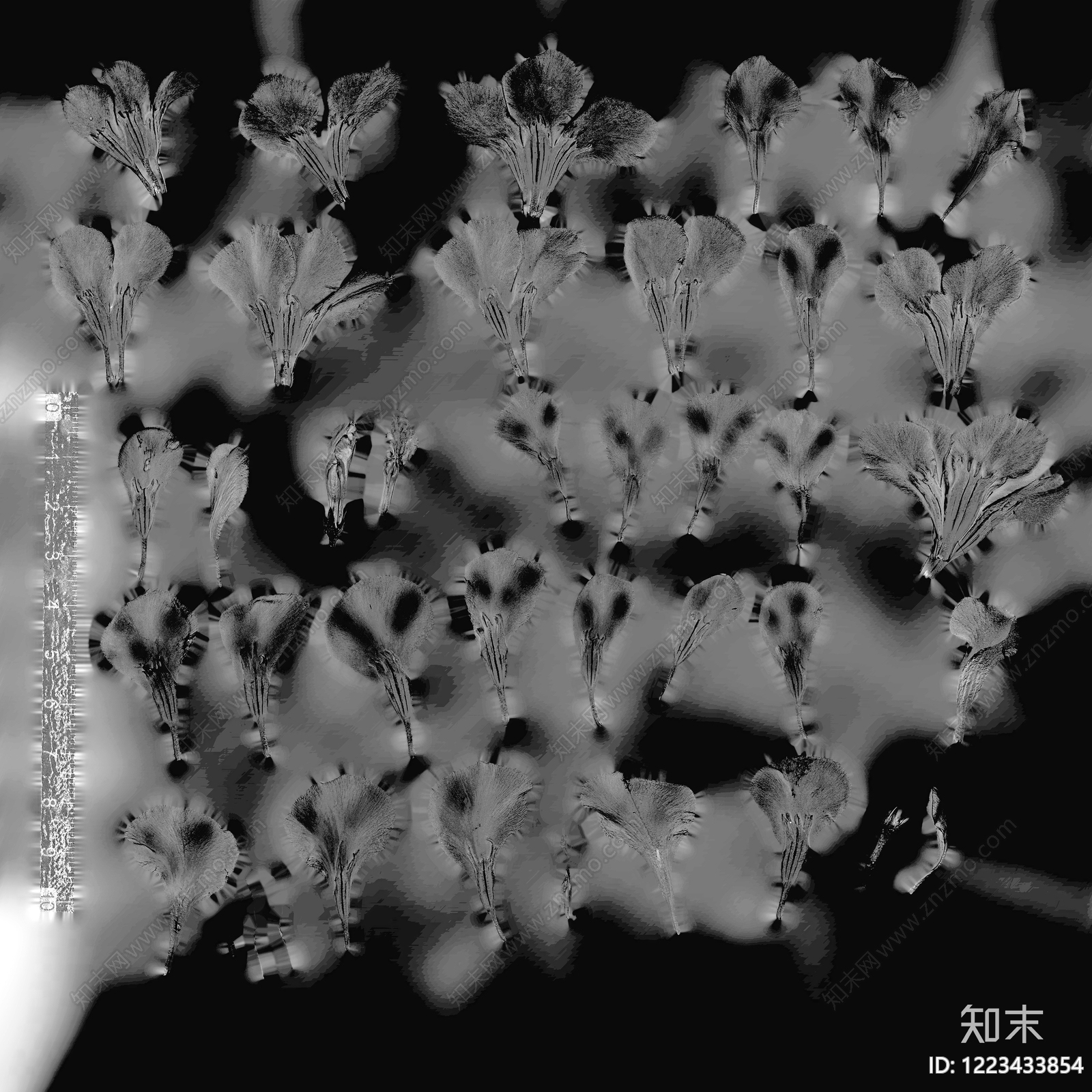 其他黑白凹凸贴图下载【ID:1223433854】