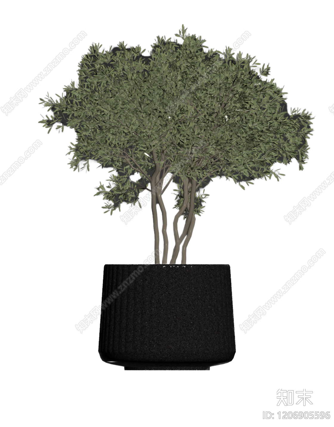 盆栽植物组合3D模型下载【ID:1206905596】