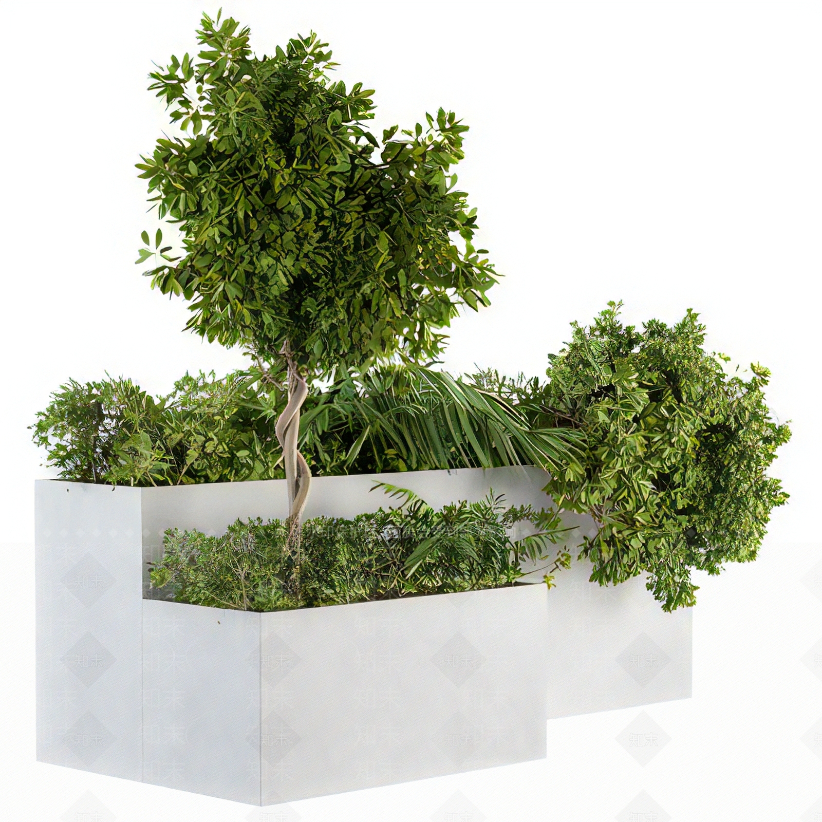 现代植物花坛花钵3D模型下载【ID:890581077】