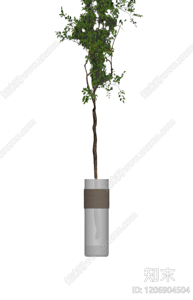 盆栽植物装饰3D模型下载【ID:1206904504】