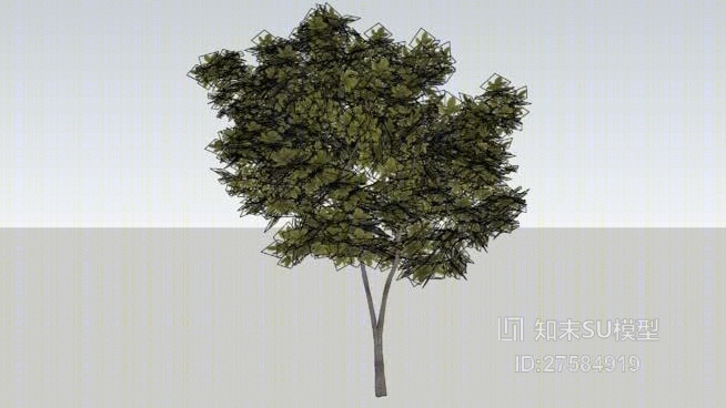 树SU模型下载【ID:119291645】