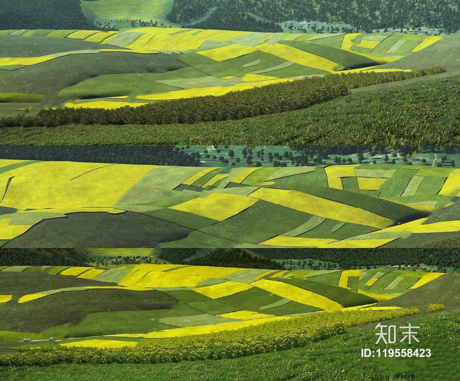 现代鸟瞰麦田油麦菜梯田3D模型下载【ID:119558423】