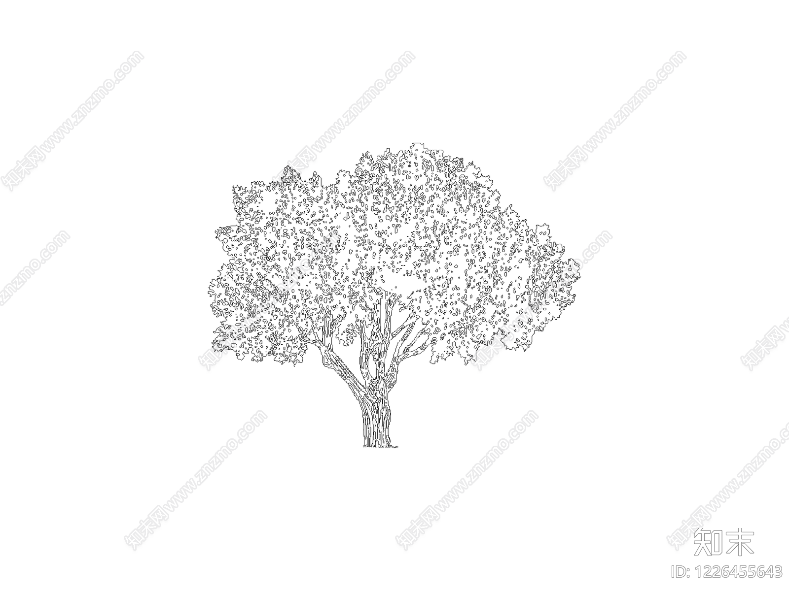 乔木种植CAD图纸