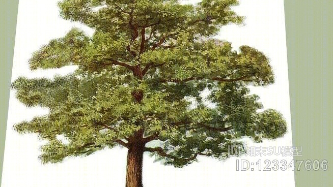 橡木2DSU模型下载【ID:123347606】