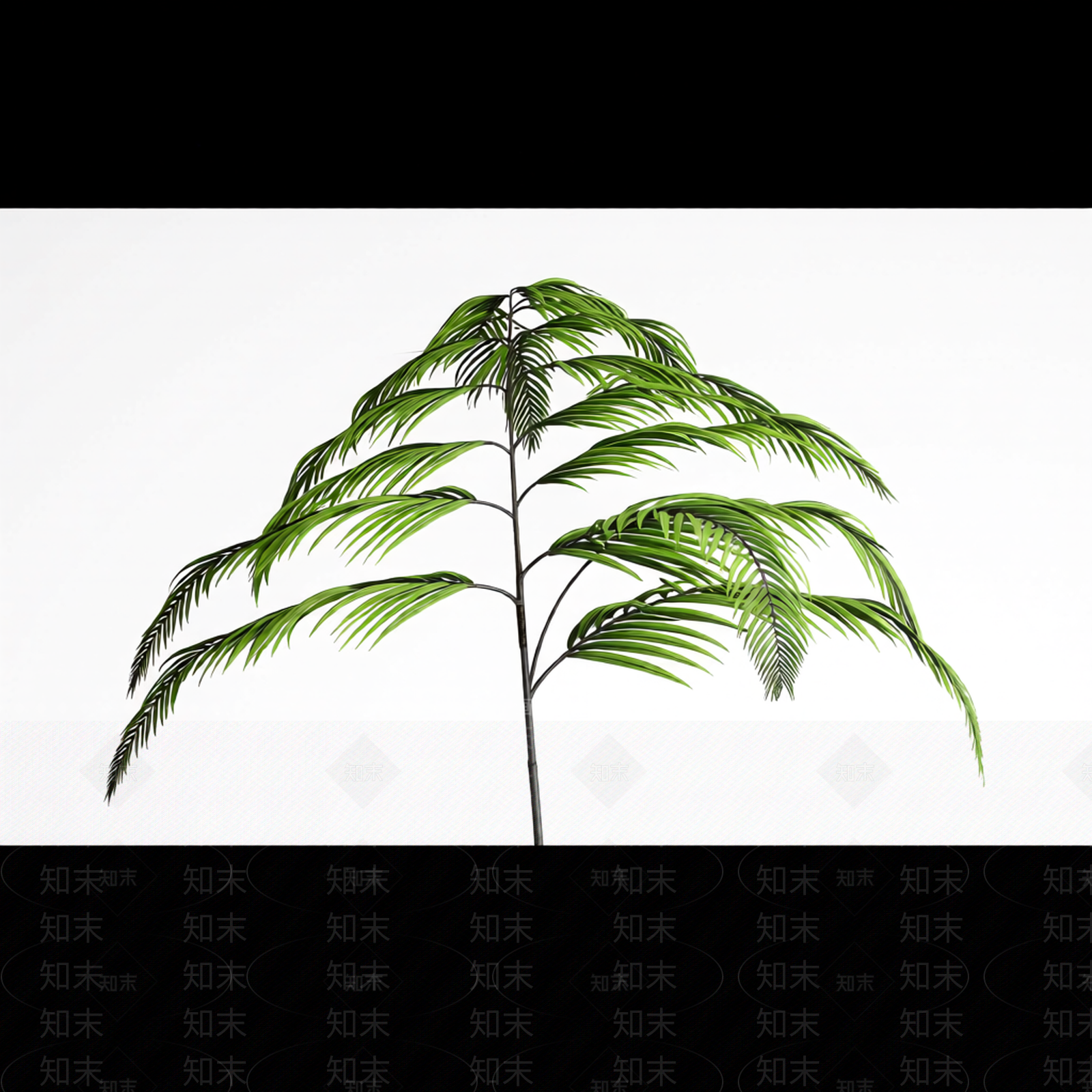 绿色蕨类植物模型3D模型下载【ID:1206183848】