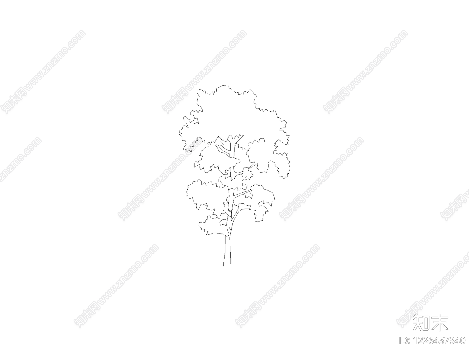 乔木种植CAD图纸