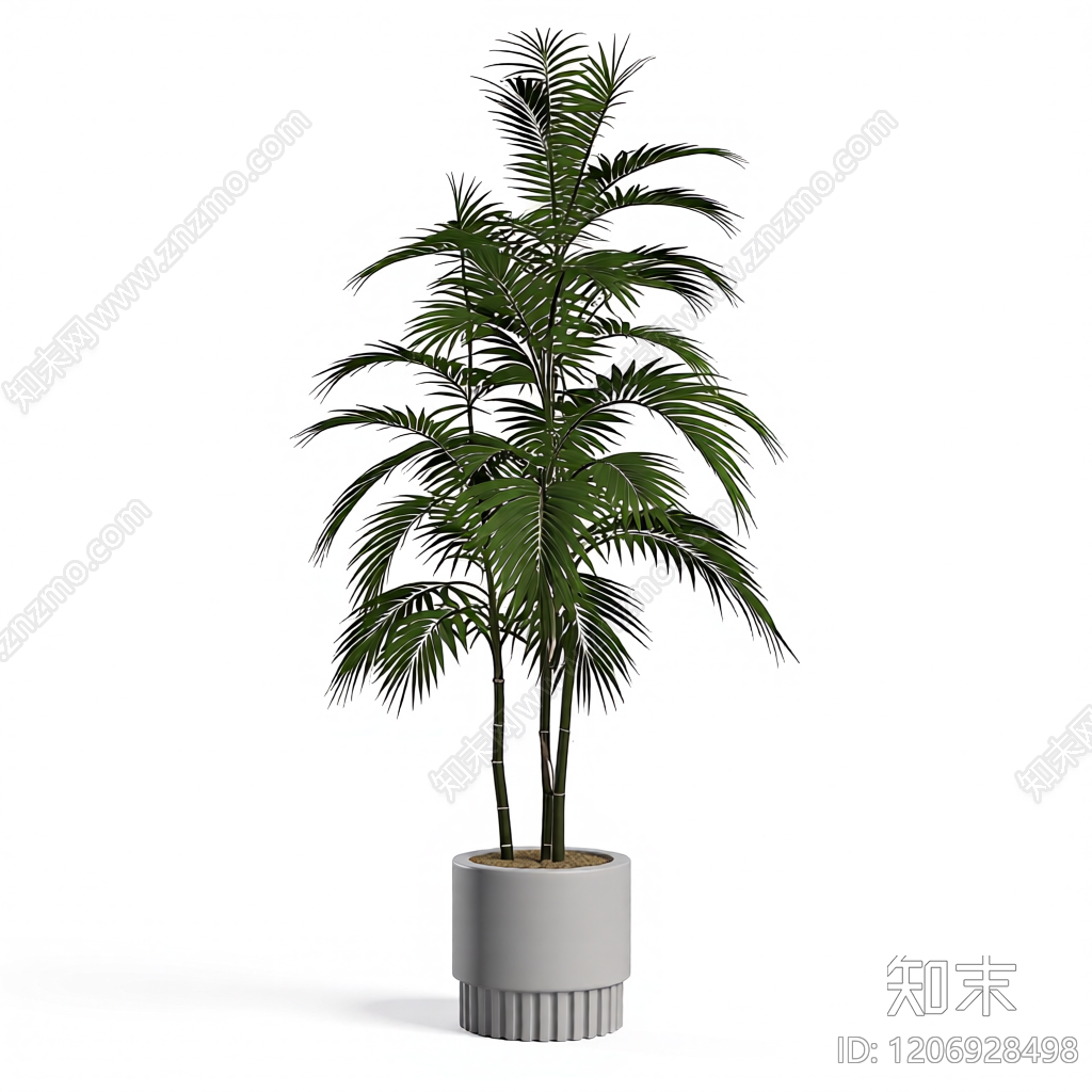 盆栽植物组合3D模型下载【ID:1206928498】