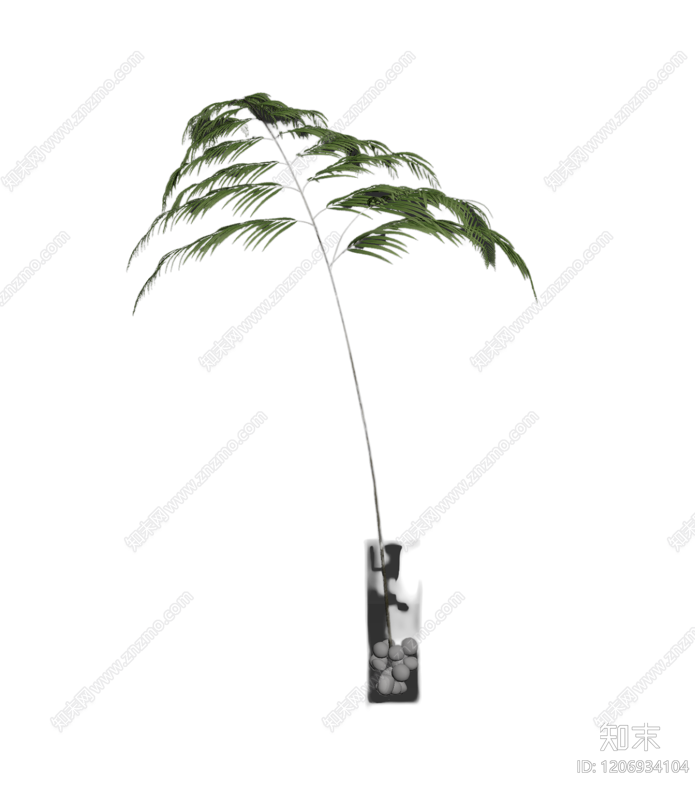 盆栽蕨类植物3D模型下载【ID:1206934104】