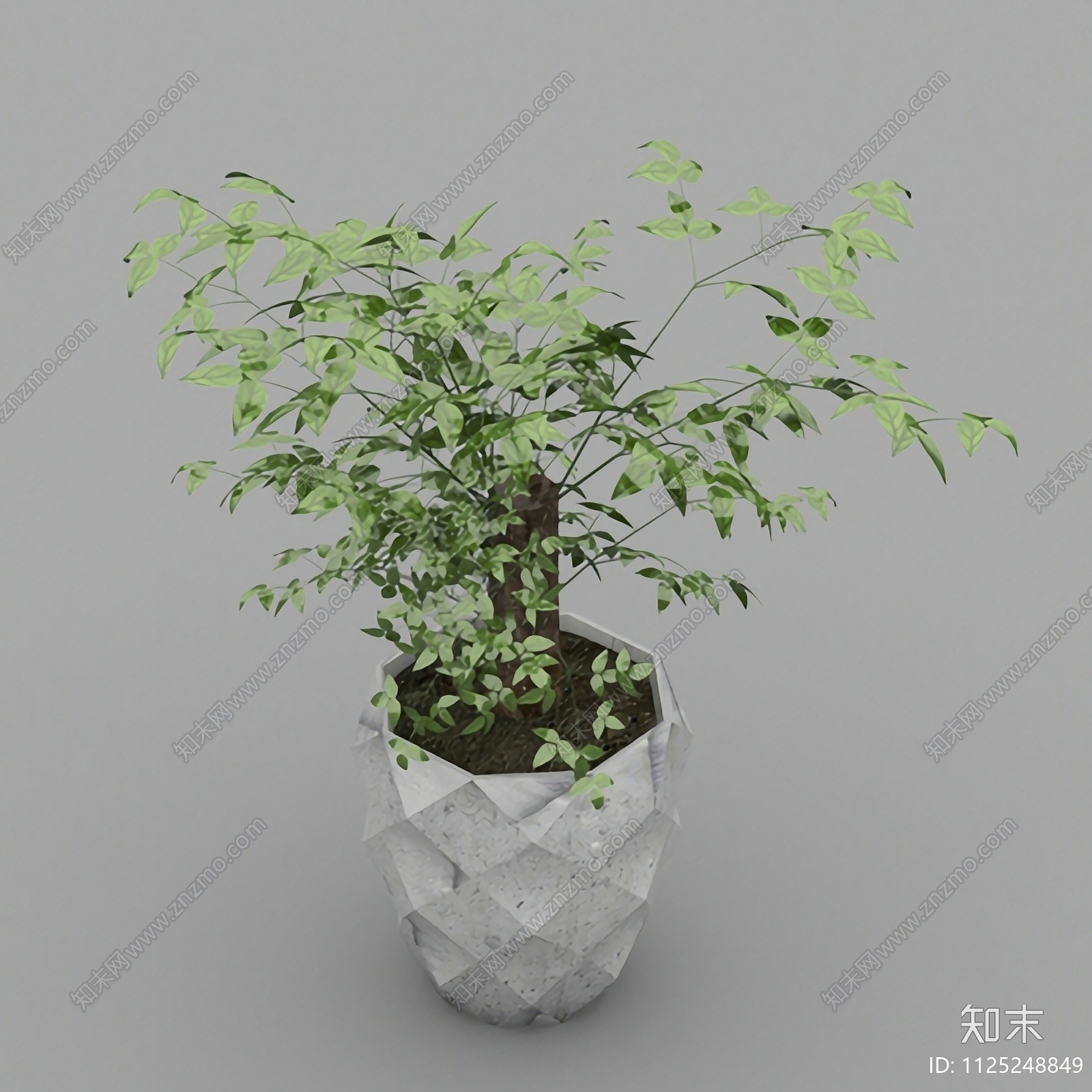 北欧简约绿植盆栽3D模型下载【ID:1125248849】