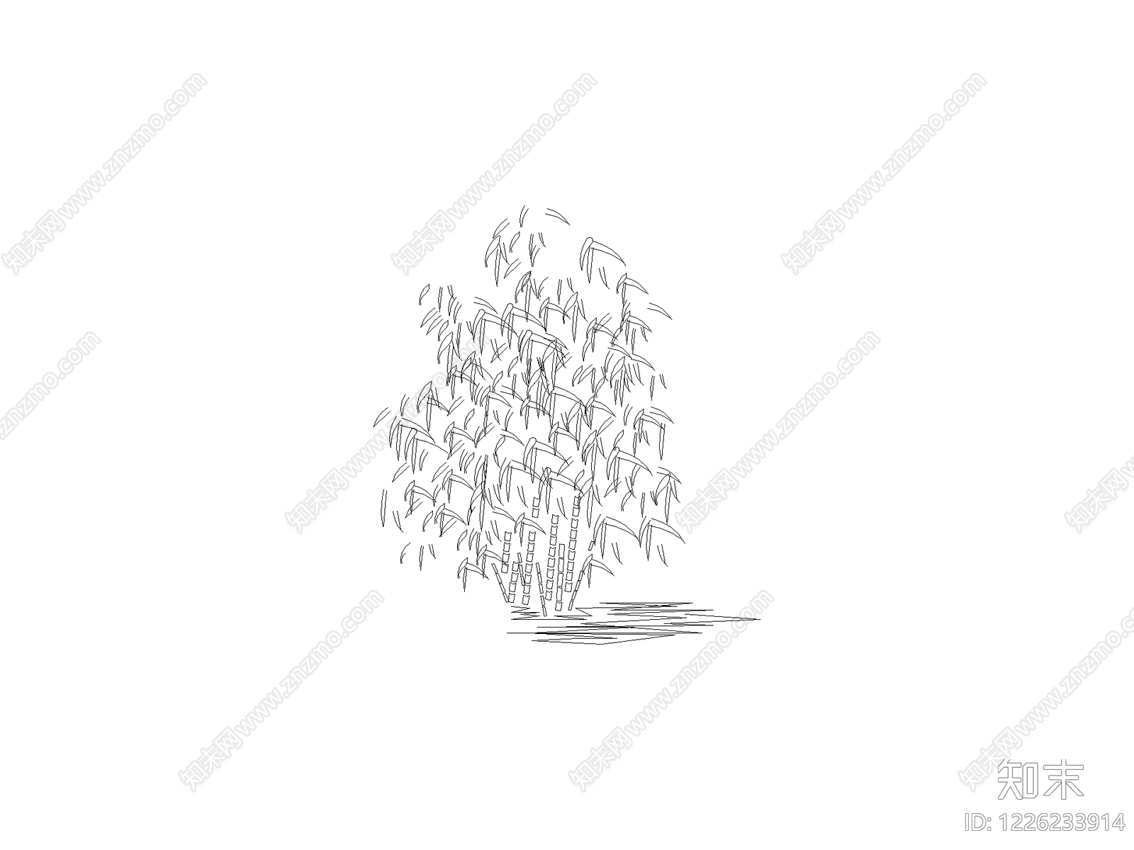 现代乔木种植CAD图纸
