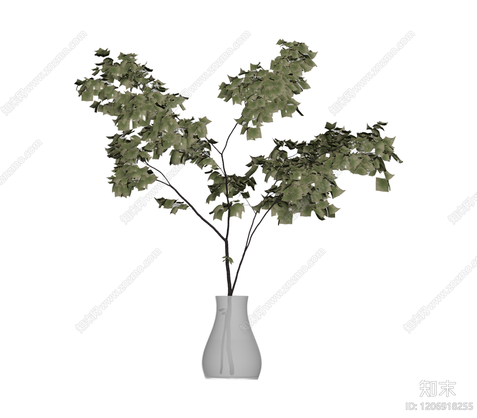 盆栽植物装饰3D模型下载【ID:1206918255】