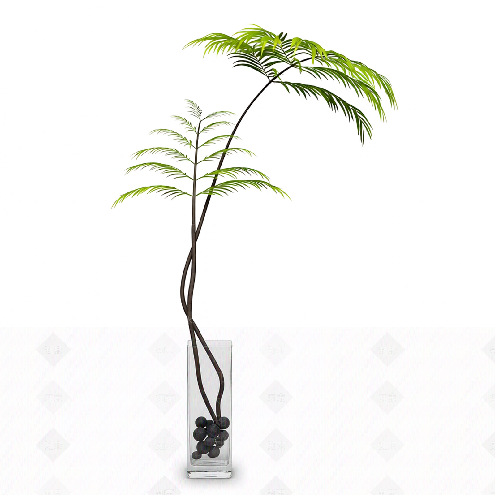 带盆栽植物模型3D模型下载【ID:1206184180】