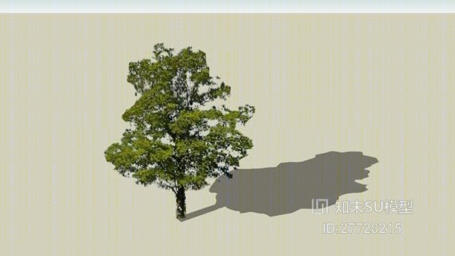 树SU模型下载【ID:27728215】