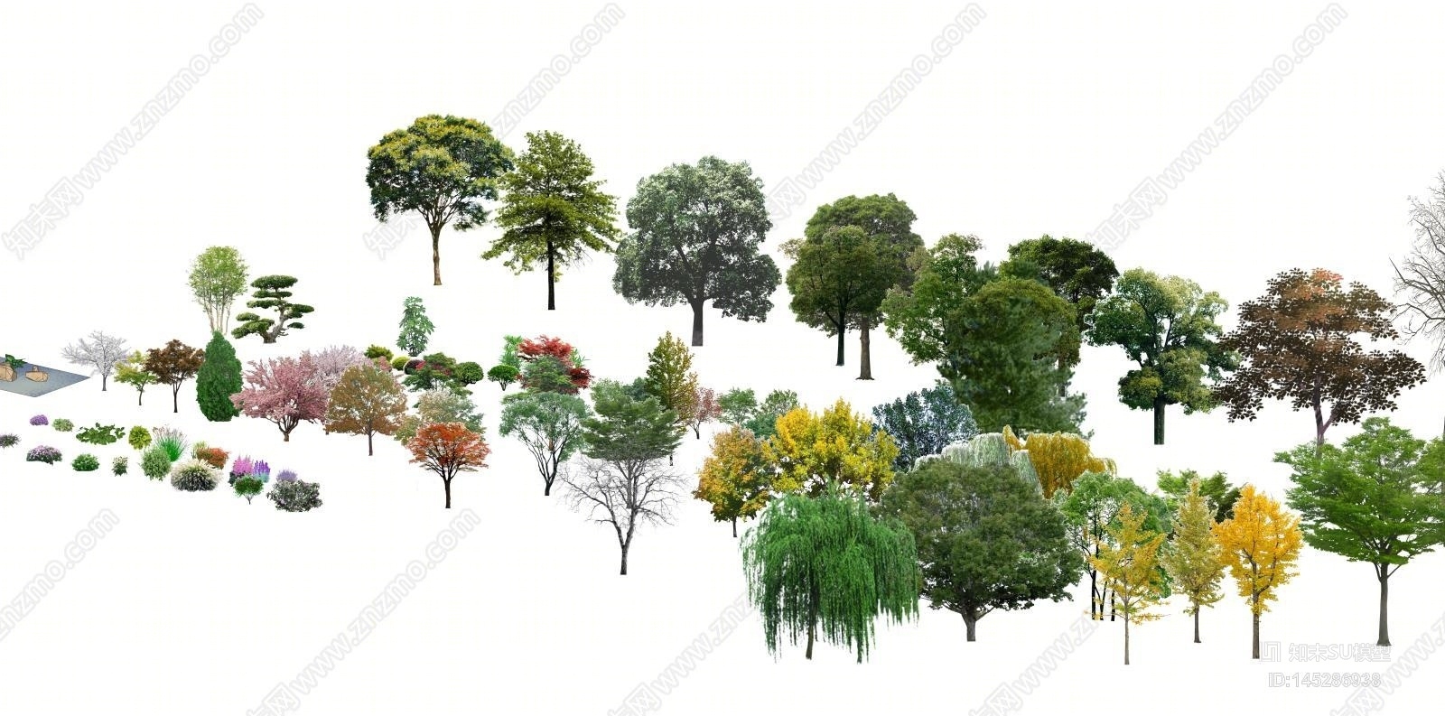 植物组合SU模型精品下载_SketchUp模型_知末网