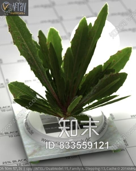 _蒲公英的叶子贴图下载【ID:833559121】