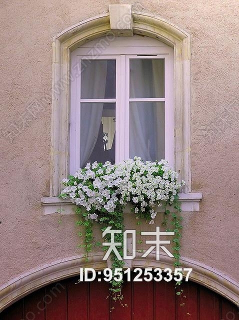 植物墙贴图下载【ID:951253357】