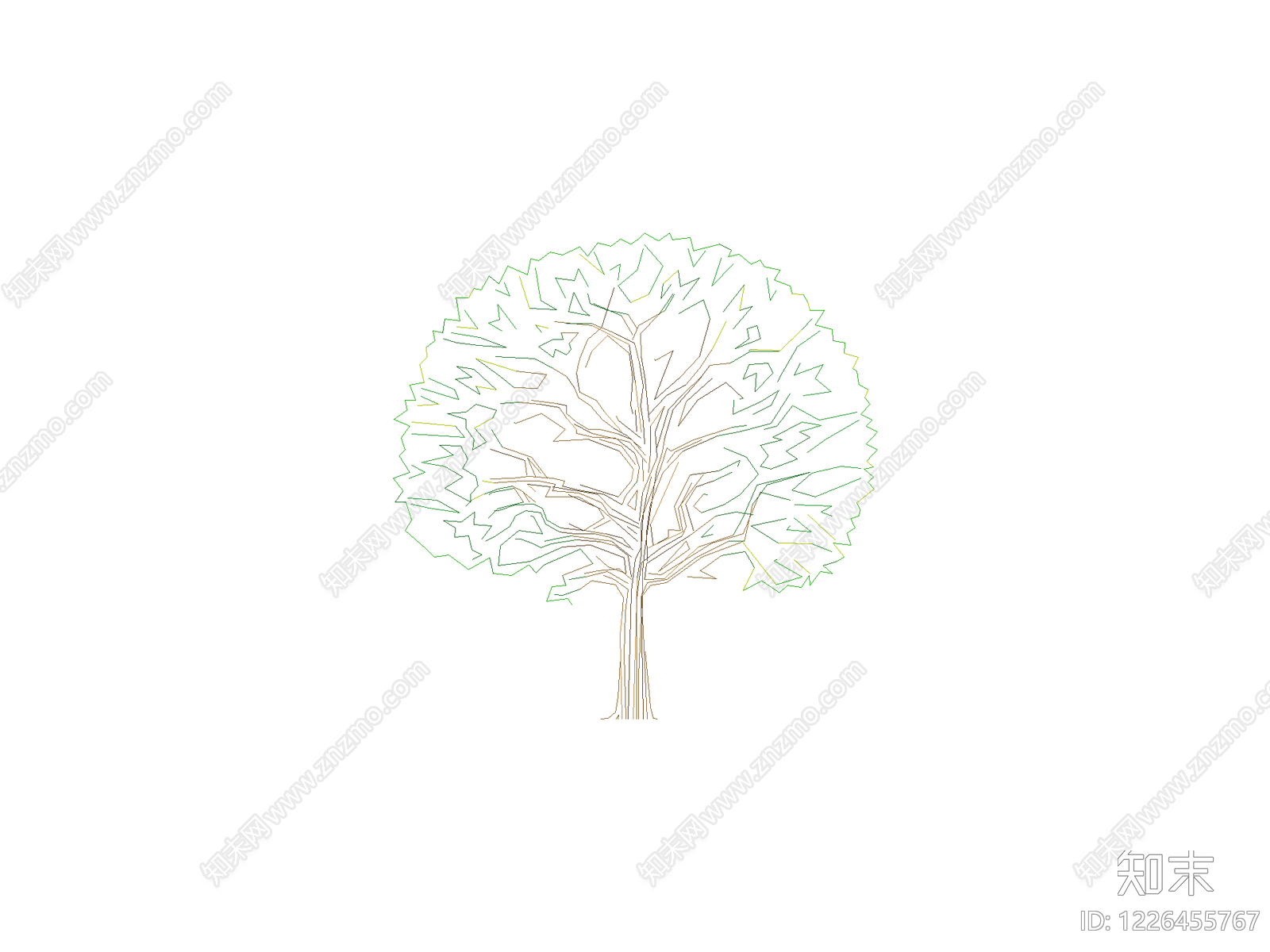 乔木种植CAD图纸