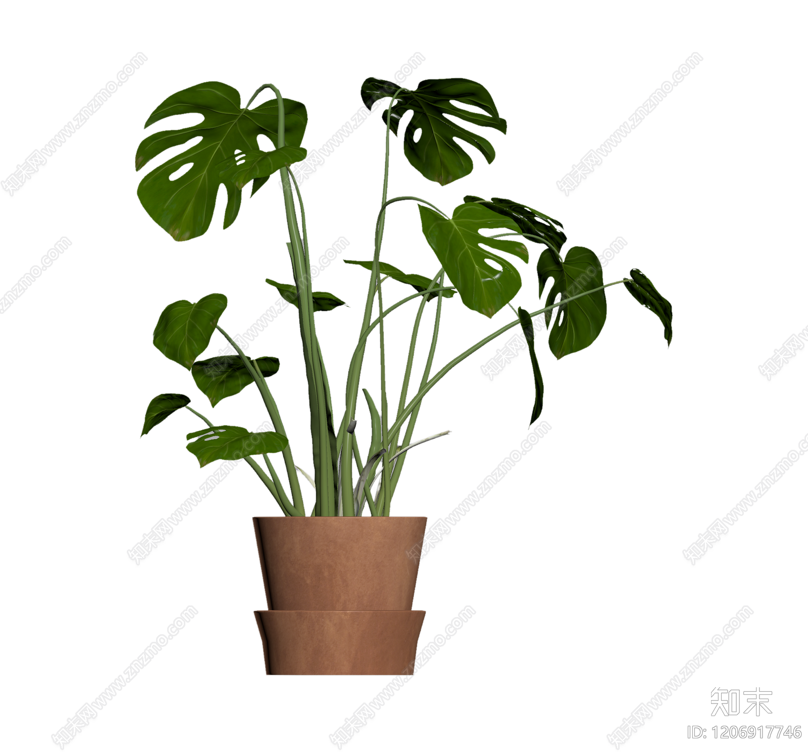 龟背竹盆栽3D模型下载【ID:1206917746】
