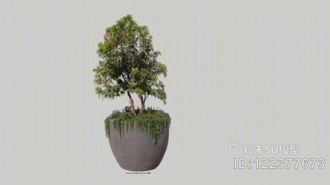 草莓树杨梅SU模型下载【ID:122377673】