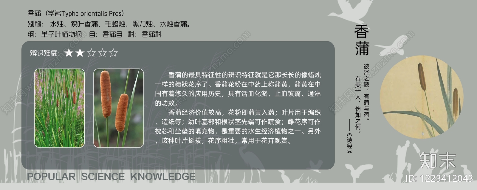 其他挂画贴图下载【ID:1223412043】