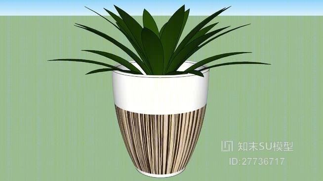 盆栽SU模型下载【ID:27736717】