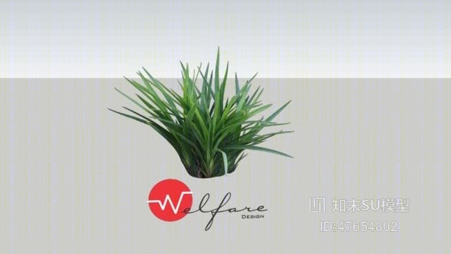 草SU模型下载【ID:47654802】