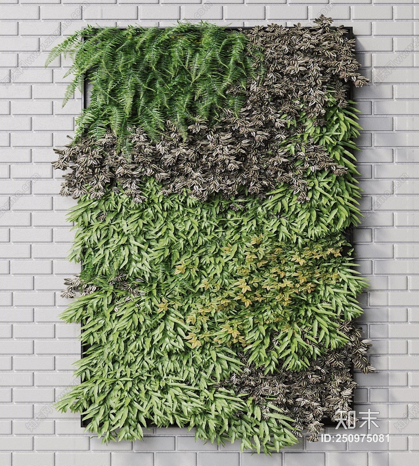 现代植物墙3D模型下载【ID:250975081】