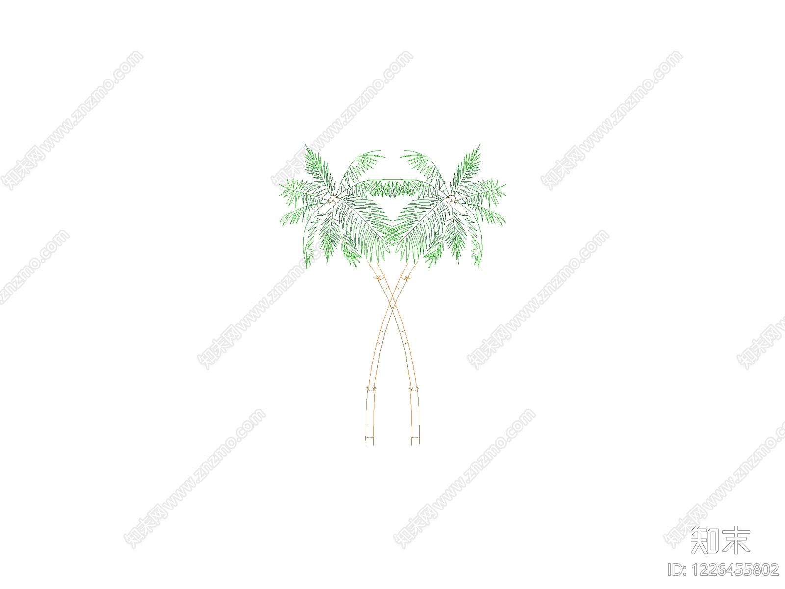 乔木种植CAD图纸