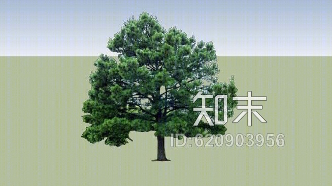 二维树SU模型下载【ID:620903956】