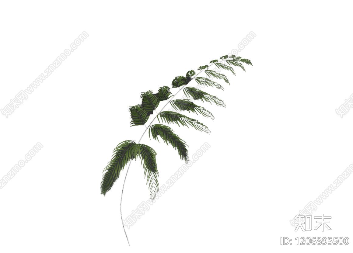盆栽蕨类植物3D模型下载【ID:1206895500】
