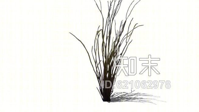 二维沙漠仙人掌（阴影）SU模型下载【ID:621062978】