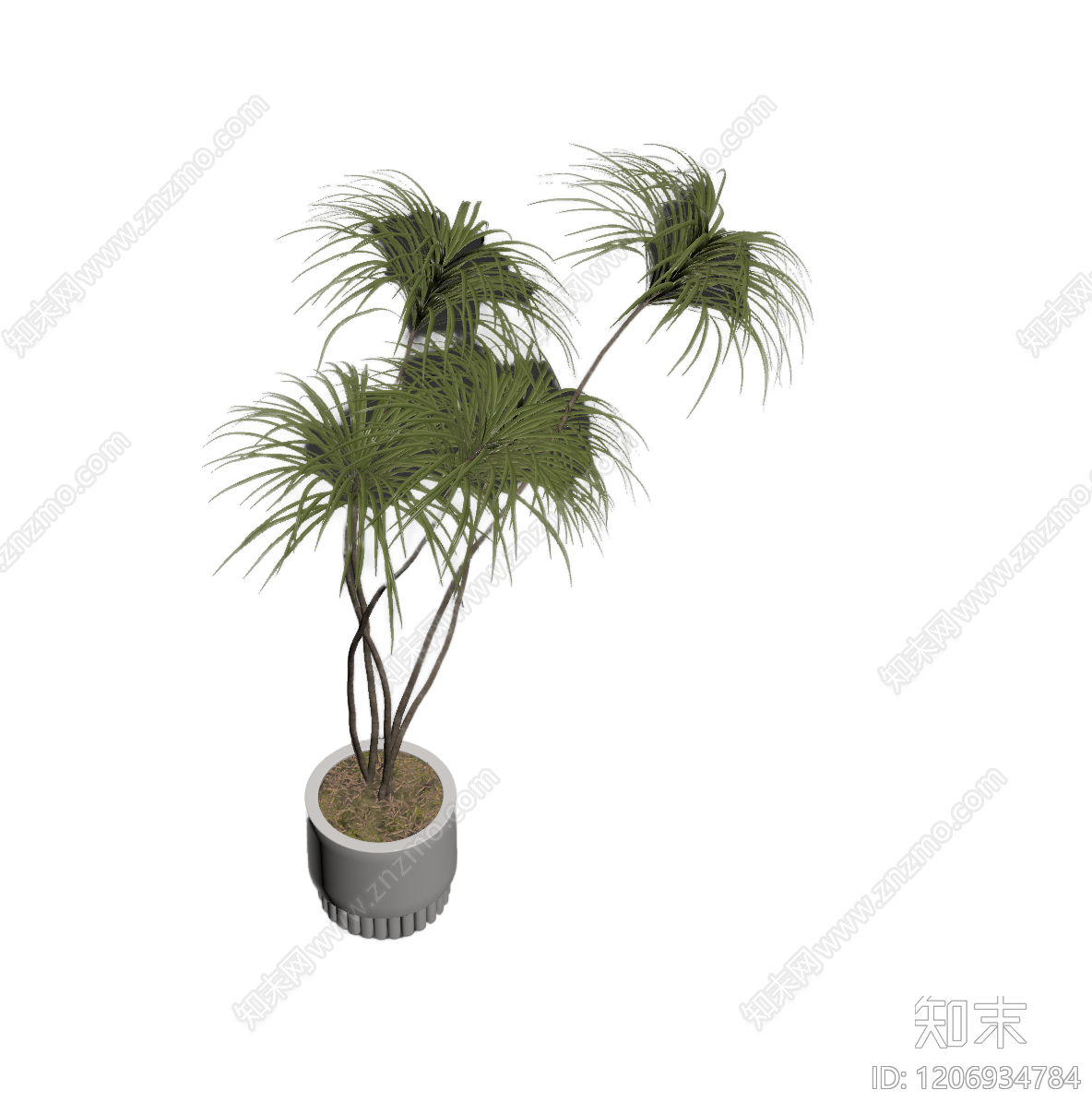 盆栽植物模型3D模型下载【ID:1206934784】