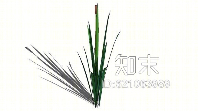 小香蒲SU模型下载【ID:621063989】