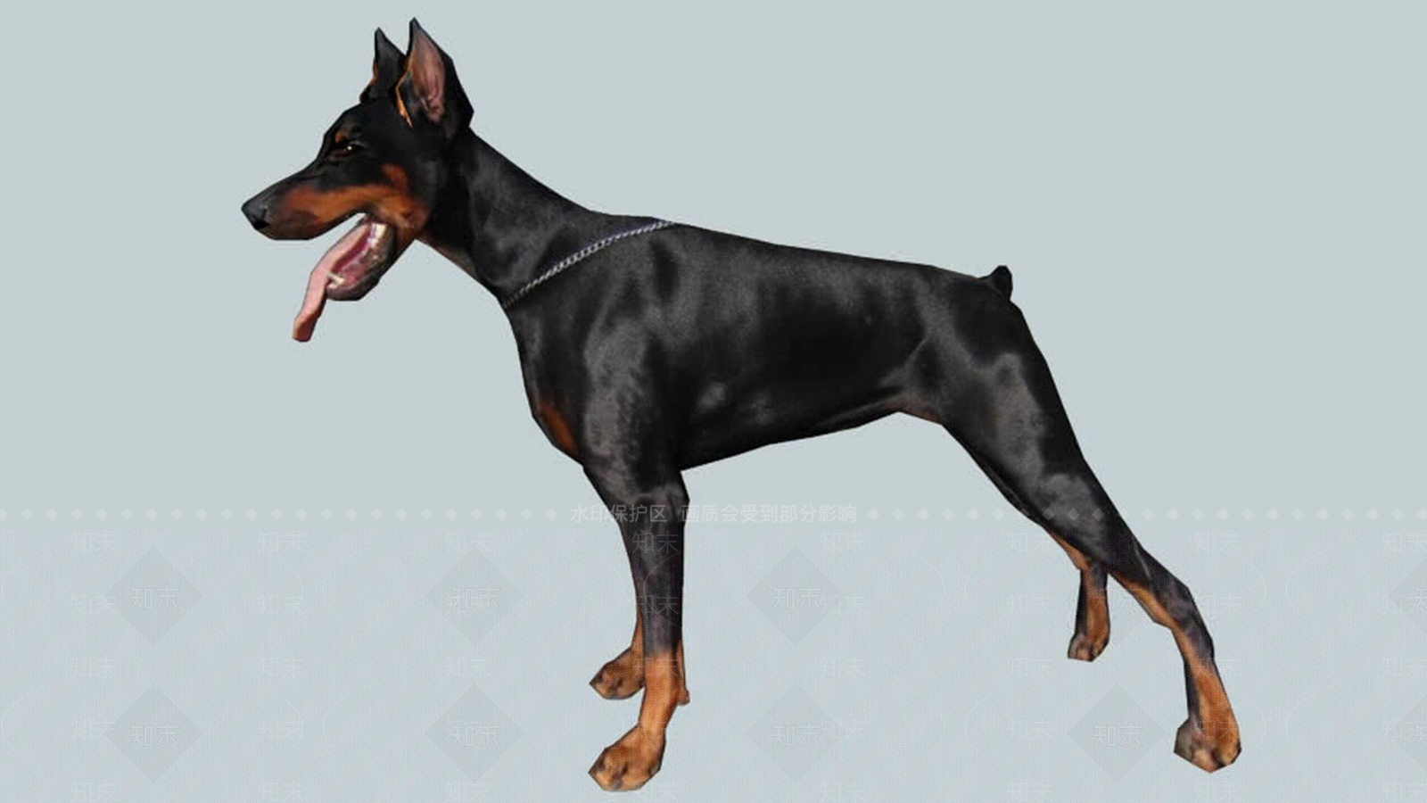 杜宾犬SU模型下载【ID:1162356685】