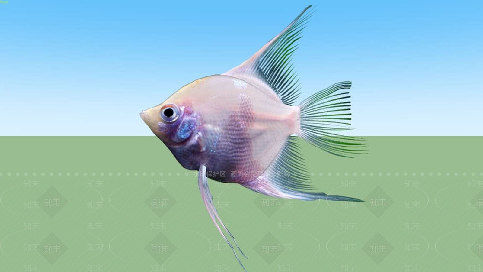 热带鱼类TropicalSU模型下载【ID:1162059104】