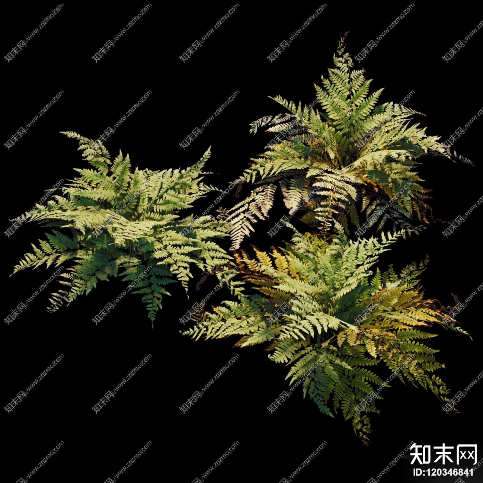 现代石头蕨类植物蘑菇园林小品3D模型下载【ID:120346841】