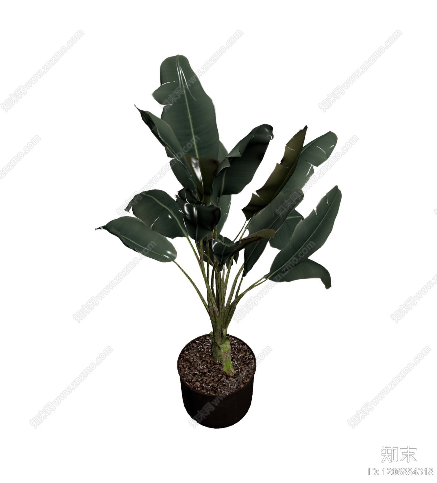 盆栽植物3D模型下载【ID:1206884318】