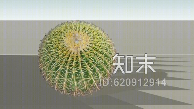 金筒仙人掌SU模型下载【ID:620912914】