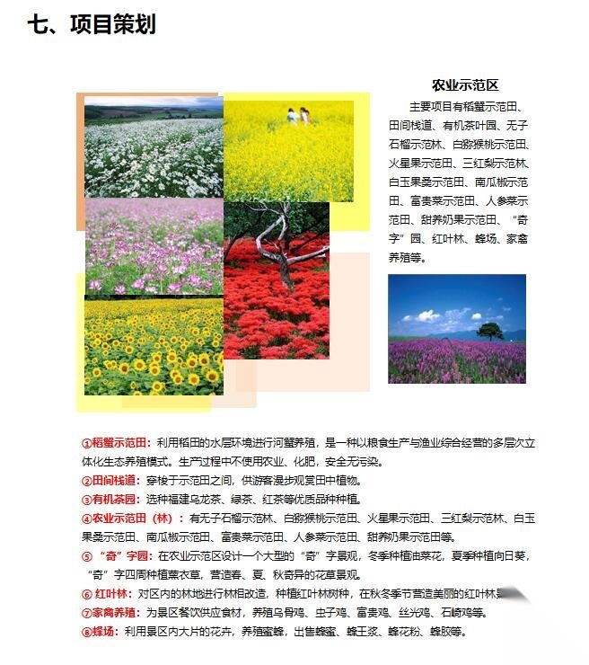 [福建]某大田闽农农业休闲观光园概念性规划设计文本PDF...cad施工图下载【ID:161017142】