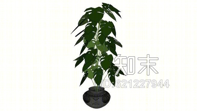 室内植物SU模型下载【ID:621227944】