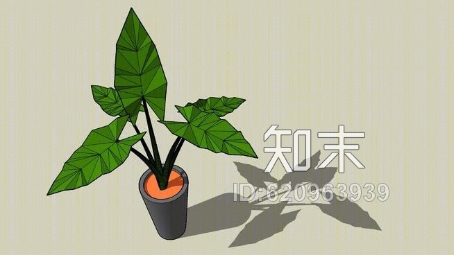 花瓶里的植物——AlocasiaSU模型下载【ID:620963939】
