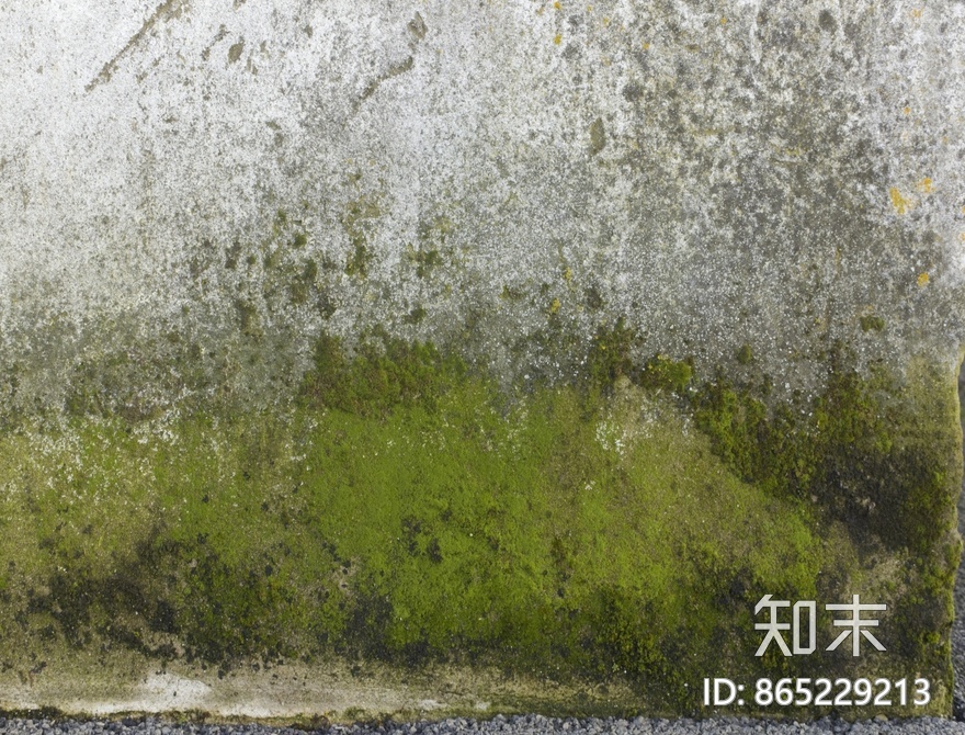 苔藓贴图下载【ID:865229213】