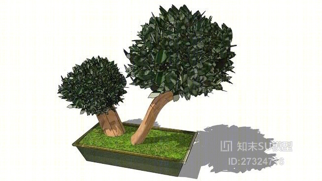普兰特é稳定剂E邦萨河ï桉树黄杨垂直2SU模型下载【ID:27324716】