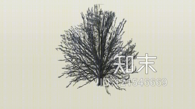 枯树SU模型下载【ID:121546669】