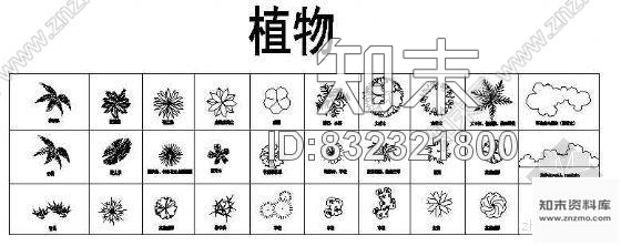 图块/节点植物01cad施工图下载【ID:832321800】