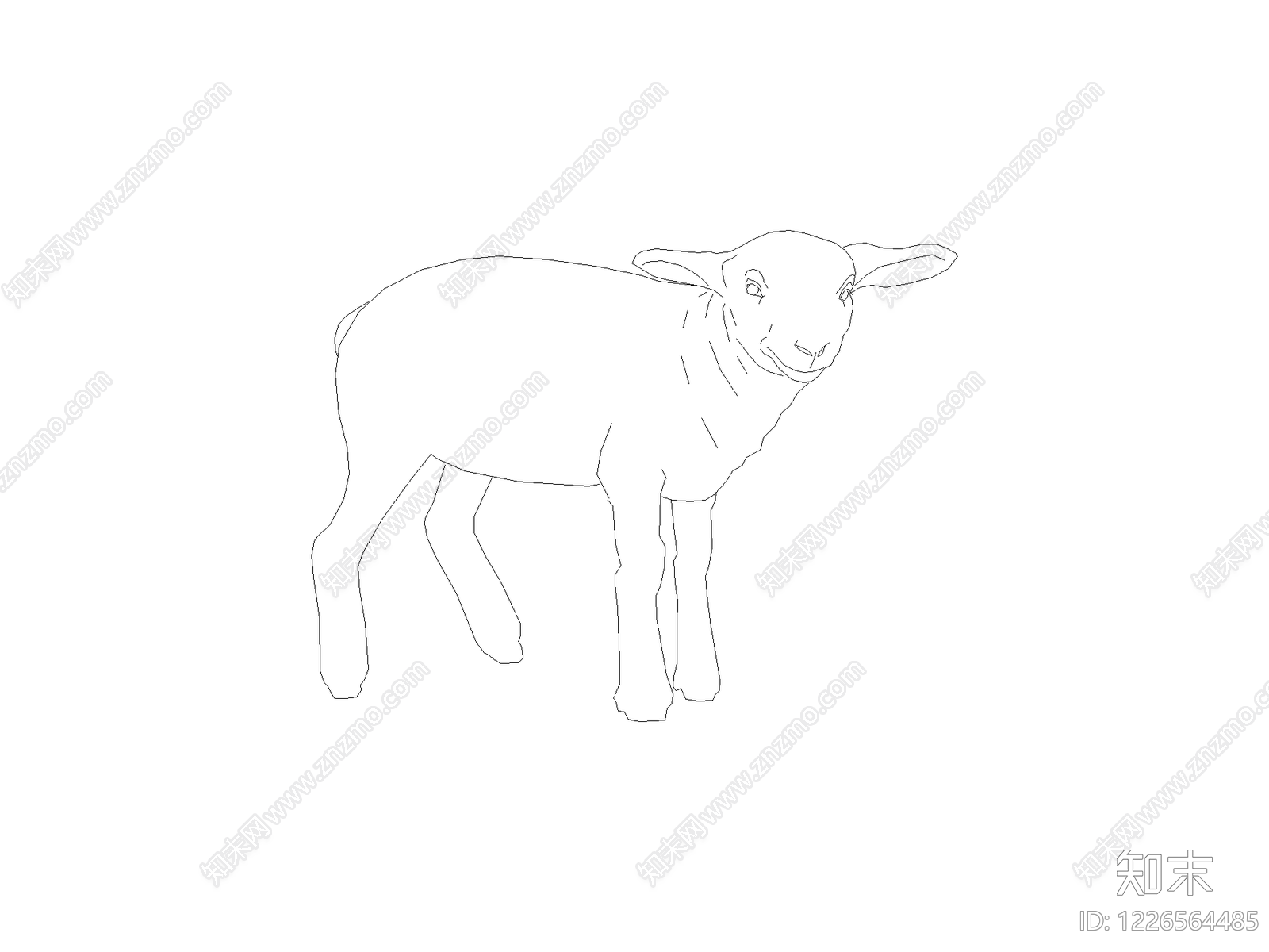 动物CAD图纸