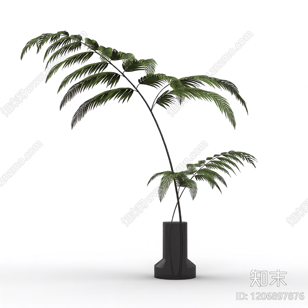 盆栽蕨类植物3D模型下载【ID:1206897876】