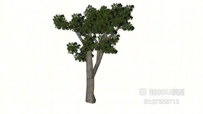 树SU模型下载【ID:119253639】